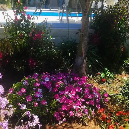 Amare Casa vacanze
